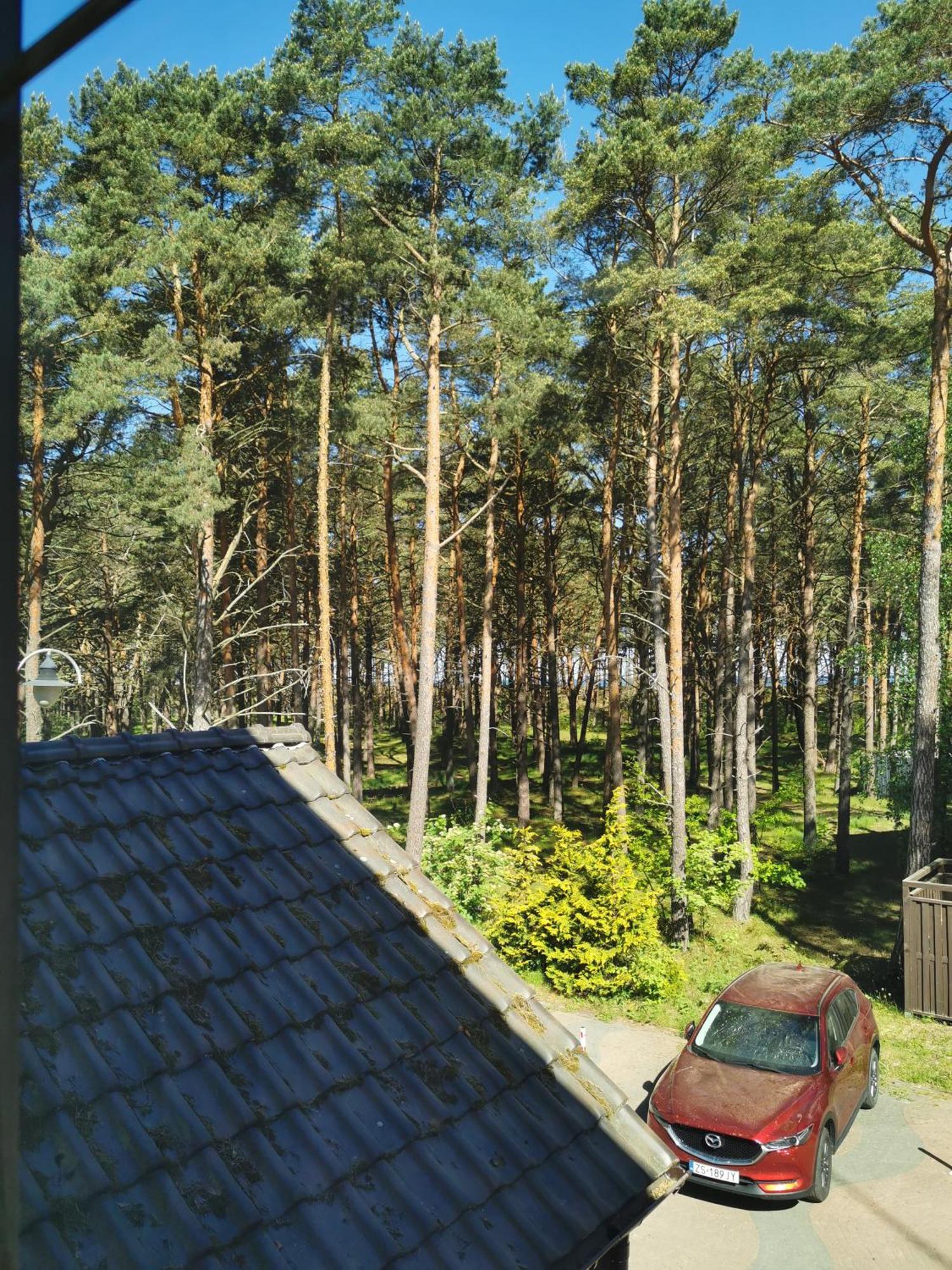 Dzafar Pogorzelica Pogorzelica (Gmina Rewal)